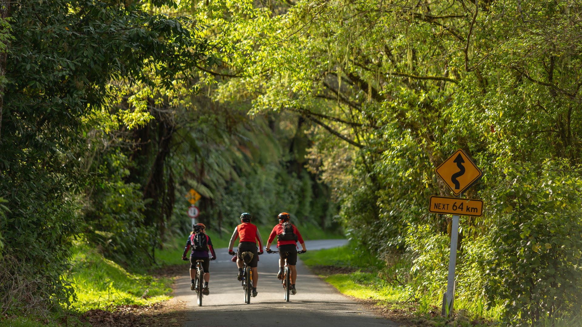 Biking trail clearance